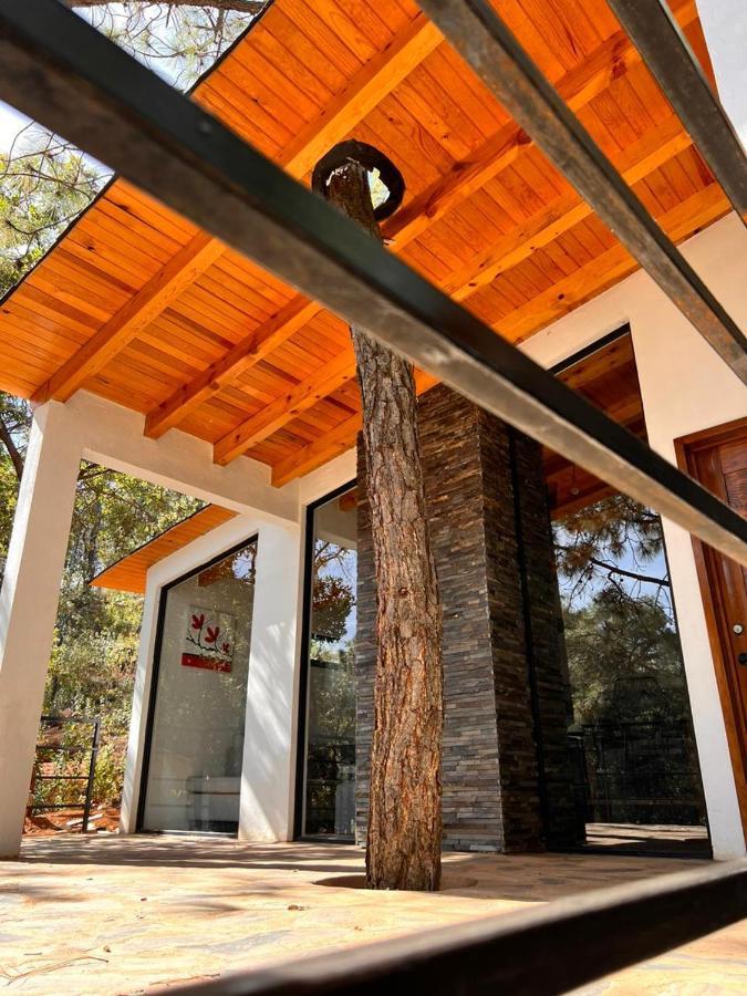Cabana "Alexa", En El Corazon Del Bosque De Mazamitla Bagian luar foto